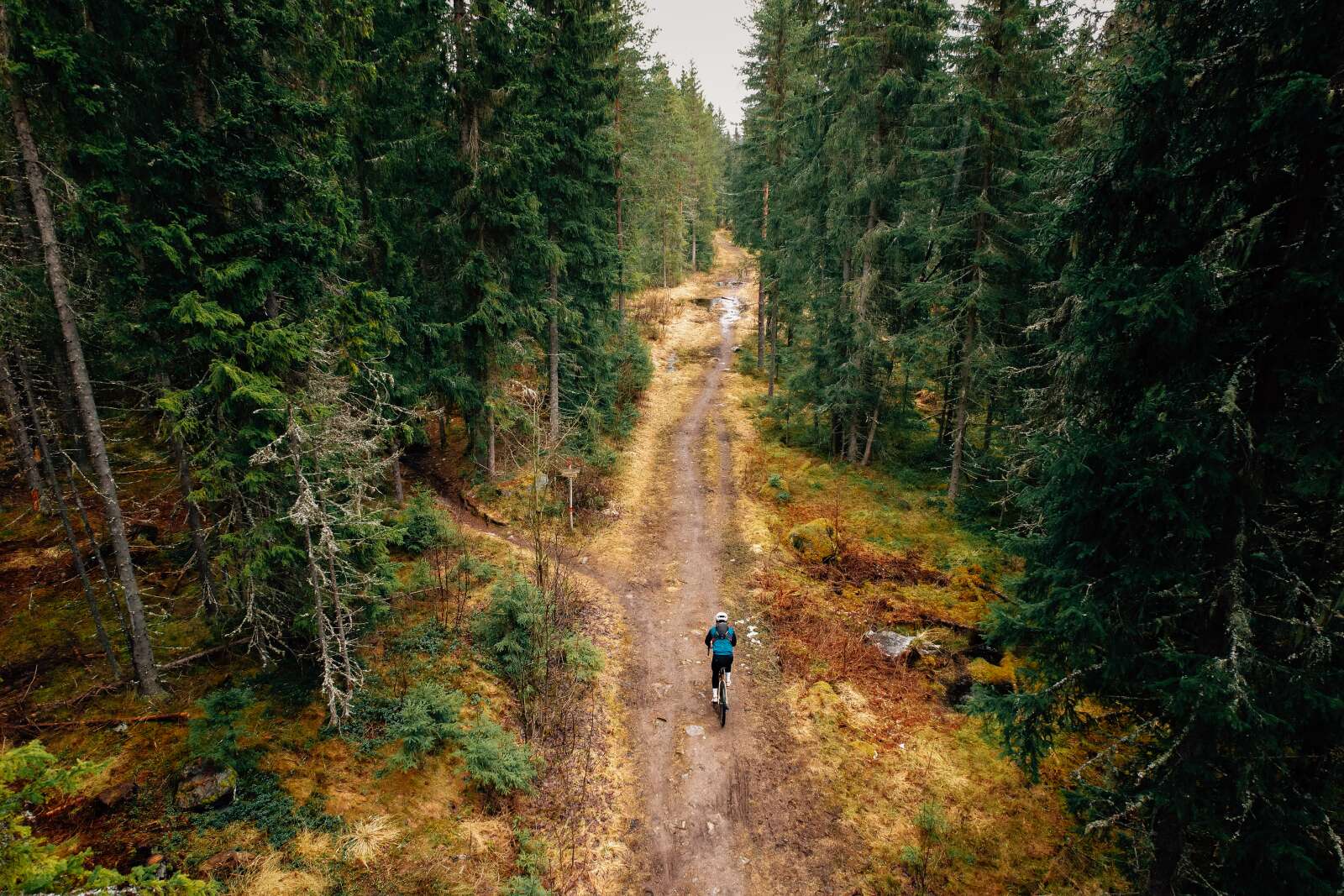 Gravelbirken(22of32)