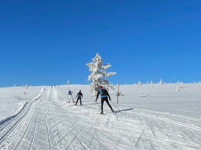 SkøyteBirken 1400x720