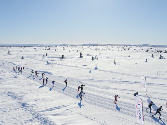 ski-birken-2025-share