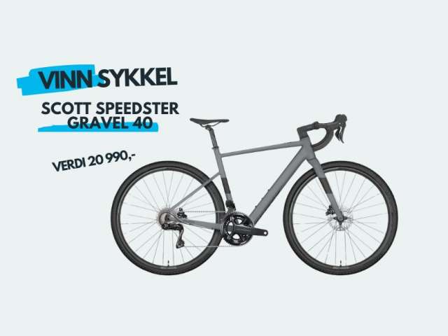 deling sykkel  (1)