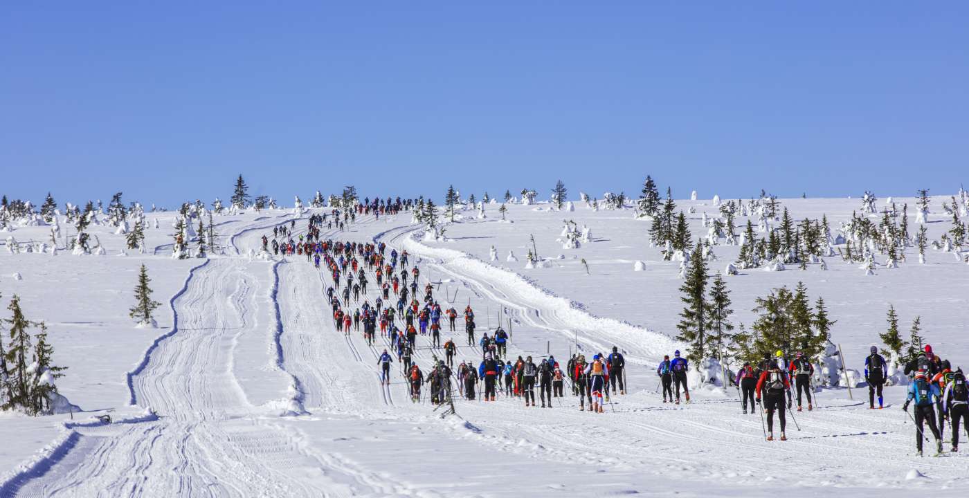 Birken 2018 DB 43 raudfjellet1400x720