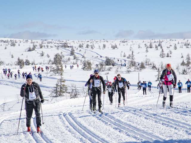 Birken ski 16.3 2019  _75