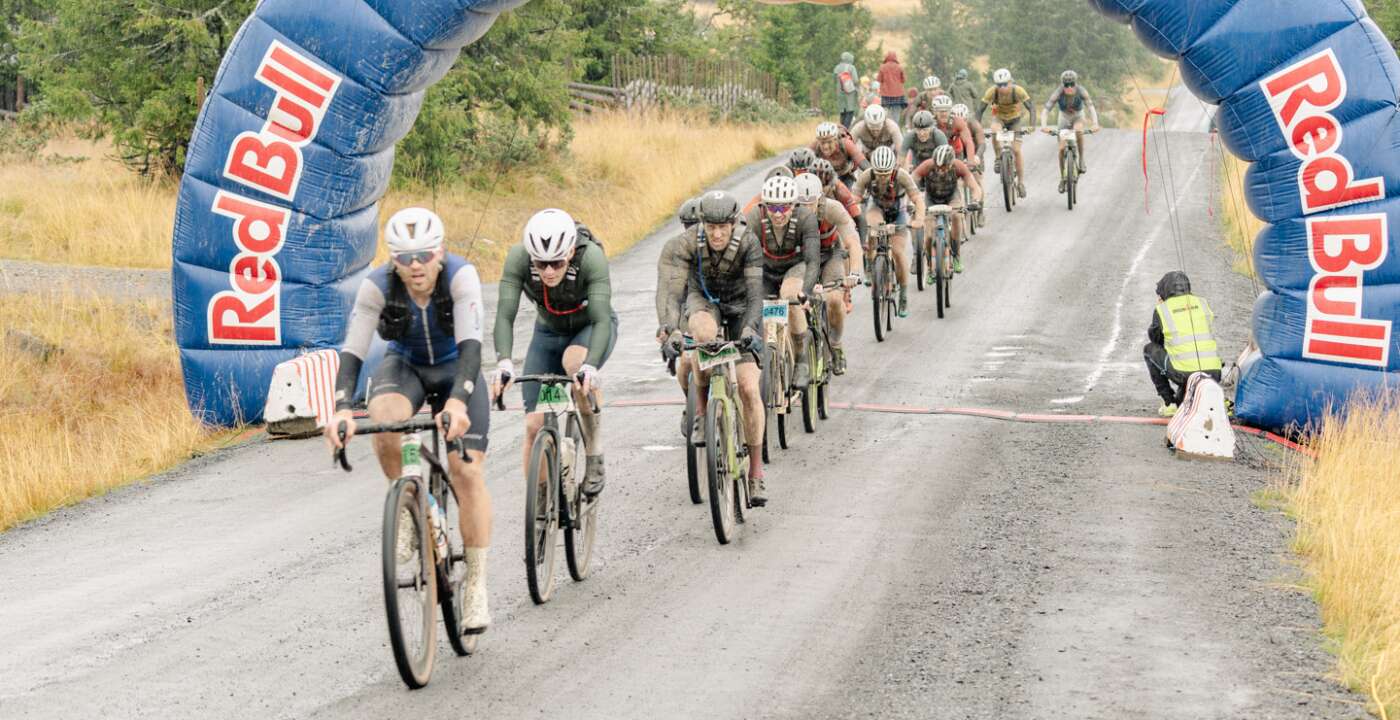 Birken Redbull-8