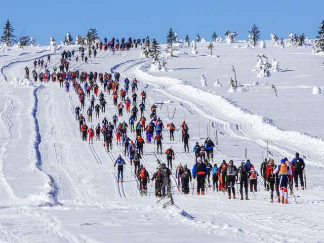 Birken 2018 DBb43